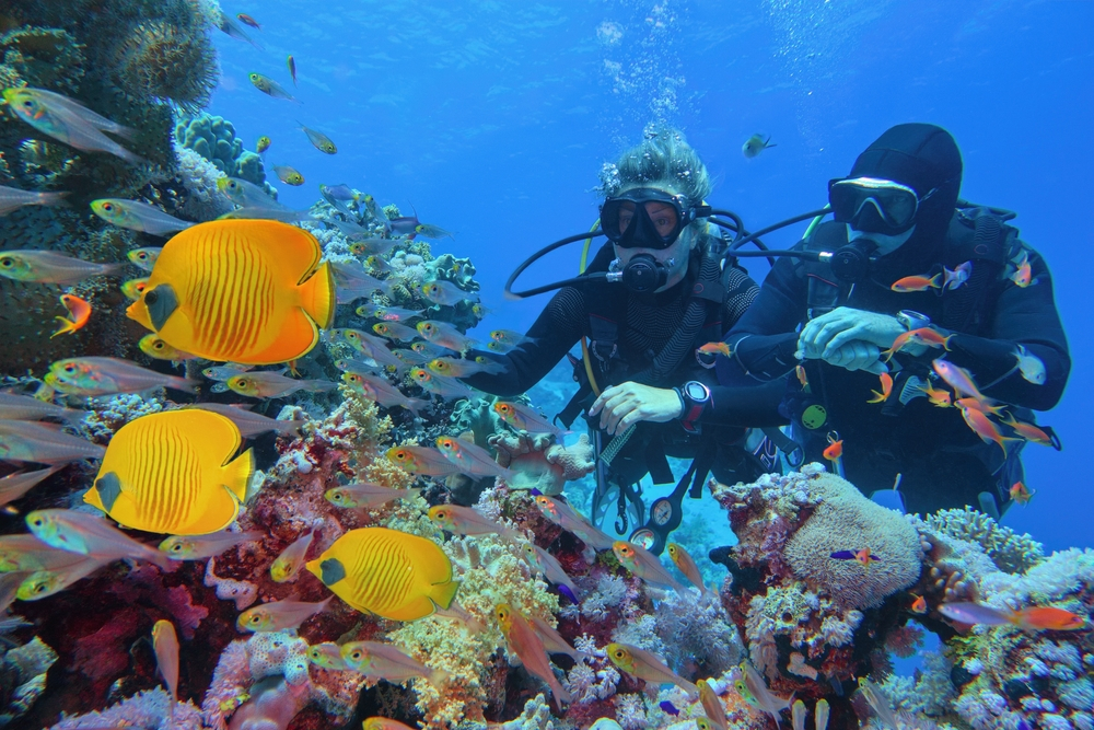 Diving: Explore Sri Lanka’s Underwater Treasures